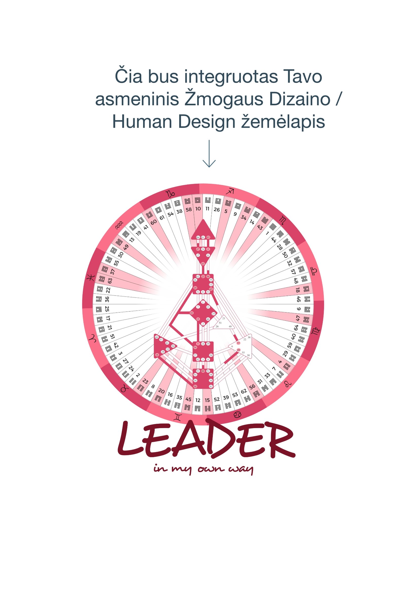 Marškinėliai „Leader in my own way", rožinis karjeros potencialo žemėlapis + PDF aprašas - Image 3