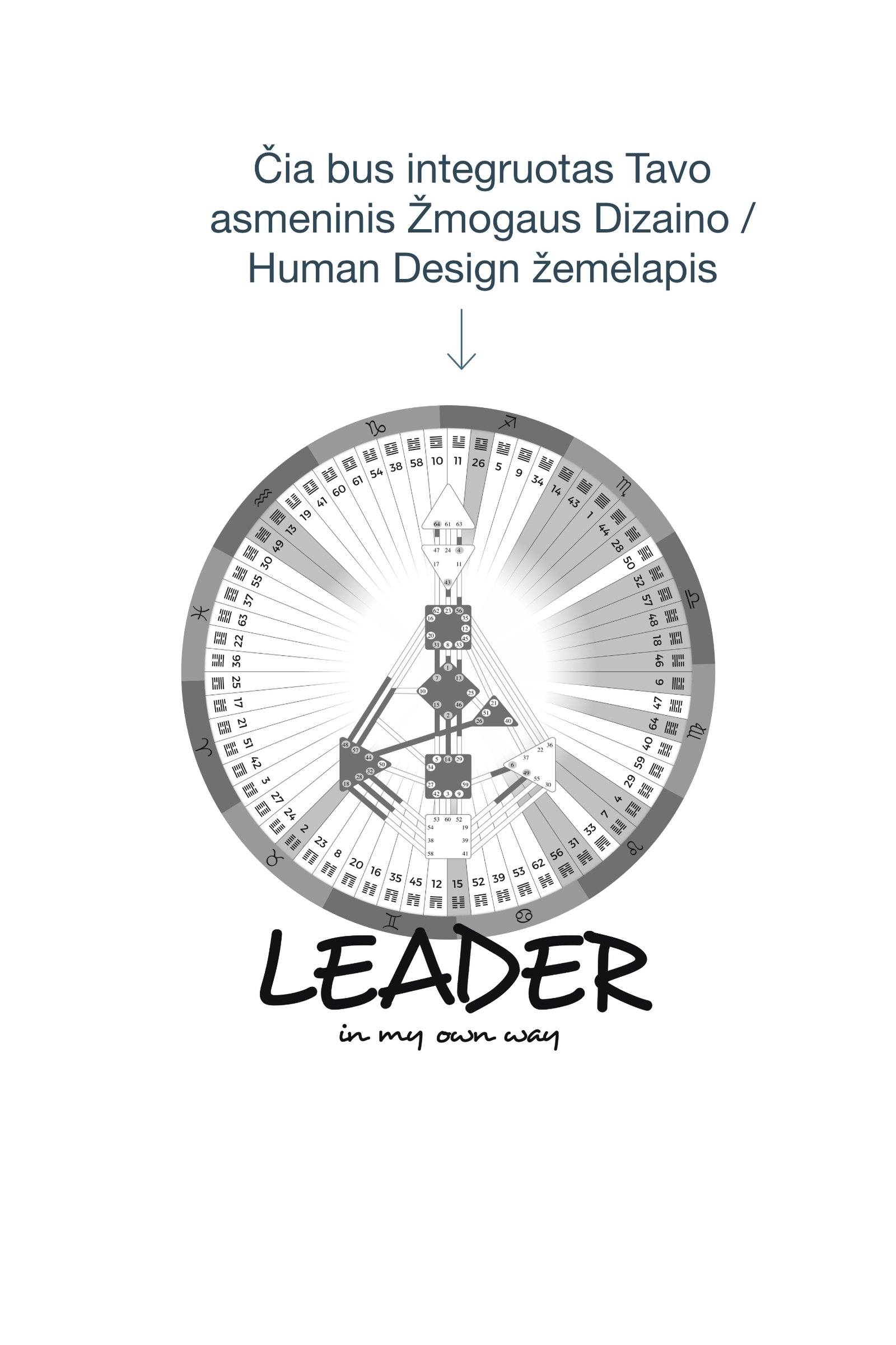 Marškinėliai „Leader in my own way", pilkas karjeros potencialo žemėlapis + PDF aprašas - Image 3